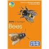 Marianne Taylor RSPB ID Spotlight - Bees (Mixed Media Product) RSPB