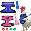 Quorumsg 2 pezzi Pettorina Regolabile con Guinzaglio, Gilet Traspirante e Morbido Imbracatura per Polli, Pettorina per Animali in Rete, per Pollame Gallina Pollo Anatra