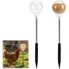 SLIAXINT 2 Pezzi Gioco Galline Mangiatoia Polli Slow Feeder, Gioco Interattivo per Galline Distributore Cibo Polli Accessori Pollaio Anti Noia per Gallines Anatre Uccelli Pappagalli