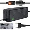 Behogan Trasformatore di tensione da 220 V a 12 V, adattatore per presa accendisigari, convertitore di rete, adattatore per scatola frigo, alimentatore per compressore, lampade LED e ventole