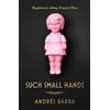Granta Books Such Small Hands: Andrés Barba