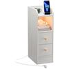 ChromaCasa Comodino Stretto Camera da Letto con Prese e Luce LED RGB, Comodini Stretti con 1 AC 2 USB porta, 2 Cassetti e Scompartimento aperto per Camera da Letto Soggiorno, Bianco 30x20x60cm