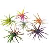 ZMdooreasy Shadtale - Esca da pesca, 10 cm, materiale TPE resistente agli strappi | Materiale TPE resistente agli strappi, struttura anti-morso, consistenza morbida elastica, prestazioni di lunga durata