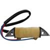 CloudburstVoltix Bobina eccitatrice 3G3-06021-1 compatibile con fuoribordo 9.9-15-18HP