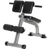 SPORTNOW Panca Romana Multifunzione Pieghevole Regolabile Altezza 150kg | Sedia Romana, Inclinazione, per Iperestensioni Schiena, Panca Addominali Pesi Fitness, Allenamento Palestra Casa