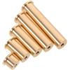 VALICLUD 5 Pezzi Tappo Zavorra per Bastone da Golf, Ottone Dorato, 2g 4g 6g | Inserto in Rame, Regolabile, Stabilità del Colpo, Compatibile Molti Modelli, per Campo