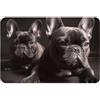 BEEOFICEPENG Zerbino da Esterno, Zerbini Antiscivolo per Ingresso Interno con Stampa Bulldog Francese, Tappeto per Patio Esterno 40x60 cm