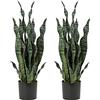 Hollyone 2PCS Pianta Artificiale sansevieria Finta da 64 cm con Serpente con Vaso, Agave Finta pianta Finta per casa Giardino Ufficio, Verde
