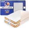 Not Swiss Cheese Dunlop - Cuscini Dunlop di alta qualità, in schiuma di lattice medio rigido, confezione da 2 - Queen Size 14 cm alto cuscino Dunlop per super comfort e sollievo dallo stress - cuscini
