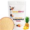 Honeyberry Polvere di Ananas Liofilizzato 100g - Frutta Liofilizzata in Polvere - Ananas in Polvere Disidratato per Frullati, Yogurt e Dolci - Polvere di Frutta Disidratata Naturale e Senza Additivi