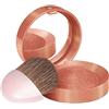 Bourjois Fard Pastel Joues Ambre D'Or 32-30 Gr