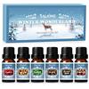 SALKING Set di Olio Essenziale Puri Inverno per Diffusori 6x10ml, per Aromaterapia - Cannella, ghirlanda di Natale, biscotto di zucchero, mirtillo rosso, menta piperita, pan di zenzero