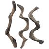 BNOSDM Ramo di legno di rettile lucertola rampicante rampicante serpente terrario decorazione geco serbatoio habitat decorazioni per drago barbuto eremita granchio 3 pezzi
