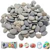 PacuM Set di 40 ciottoli da dipingere ciottoli Decorativi da Giardino | 1 a 3 cm, ciottoli decorativi, ciottoli, piatti per fai da te, decorazioni, esterni, giardino, acquario creativo
