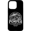 Desert Merch Rome Italy Shop Custodia per iPhone 15 Pro Max Roma Lazio Italia Paesaggio urbano xilografia