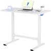 FLEXISPOT Scrivania Regolabile in Altezza a Gas 100×60 cm - Regolazione Manuale Continua, Scrivania Sit-Stand Senza Elettricità, Mobile con Ruote (Bianco)