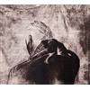 Low Roar Once in a Long, Long While (CD)
