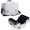 Joligrace Valigetta Trucchi Valigetta per Cosmetici per Unghie Valigia Trucco Makeup Beauty Case da Viaggio Cofanetto Organizzatore Professionale Porta Trucchi 6 Vassoi con Divisori y Tracolla,Argento