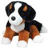 Douglas Bowie morbido del Bovaro del Bernese, 28 cm Douglas