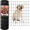 FOREHOGAR Recinzione da giardino in filo saldato rivestito in PVC nero 16GA 3x2 (WF-0250, nero)