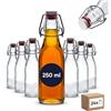 gouveo set da 24 bottiglia in vetro quadrata con chiusura meccanica 250 ml (0.25 l) - da riempire per succo, sciroppo, liquore, olio e aceto, lavabile in lavastoviglie (BFE250)