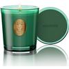 M&SENSE Candela Profumata 260g Pino Silvestre, 55H Dura, Cera di Soia Non Tossiche Candele, Vetro Autunnali Decor Casa, Regalo di Lusso per Donne/Compleanni/Natale