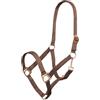 Imperial Riding Cavezza Economica, Robusta Cavezza in Nylon da 25 mm, Fibbia Regolabile a moschettone, Resistente e Facile da Pulire, per Allenamento, stalla e Vita Quotidiana, Noce, Shetty