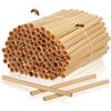 TOYANDONA 100 tubi di canna per api naturali, 15 cm di lunghezza, 0,5-0,8 cm di diametro, ricarica per casette per api, case solitarie, hotel per insetti e casette per insetti (giallo chiaro)