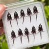 Tufgo Morbido girino esca 3,9 centimetri galleggiante Bass Bait Silicone (5S + 5L)