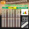Hunta Lampada LED per Coltivazione a Spettro Completo 1060W LM281B & Osram 3000K 730nm 395nm 1700umol/attorney/s Alto PPFD per Piante e Semina Dimmerabile