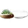 Royal Imports Vaso per fiori in vetro, terrario per piante grasse, espositore idroponico per piante aeree, candele galleggianti, centrotavola decorativo, contenitore floreale per casa o matrimonio,