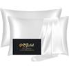 DKBslik Set di 2 federe standard in seta di gelso, salutari, lisce, anti acne, per un sonno meraviglioso, entrambi i lati, in raso di seta naturale, da donna, confezione da 2 pezzi, con cerniera, colore