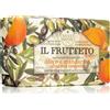 Nesti Dante Il Frutteto Olivo e Mandarino 250 g