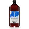 Davines Naturaltech Rebalancing Shampoo 1000 ml