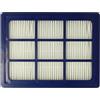 vhbw filtro compatibile con Nilfisk Elite Superior, Select Classic, Select Comfort aspirapolvere - Filtro HEPA anallergico