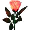 JL Corp. Rosa chiaro (rosa) * Include 1 Delight * OEM Direct Manufacturing Rose Magic* Confezione
