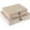 Hipiwe Set di 2 cestini in vimini intrecciato piatto con coperchio, cestini in alghe marine naturali, multiuso, per la casa, organizer per mensole (calce)