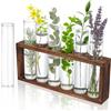 jwogngls 7 Pezzi Idroponica Vaso Vetro Trasparente, Vasi Vetro per Fiori 30x150mm, Provette in Vetro, Provette Vaso da Fiori, Vaso Idroponica Stazione con Supporto in Legno per Fiori, Decorazioni da Cucina