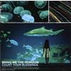 Bring Me the Horizon Count Your Blessings (CD) Album