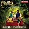 Johannes Brahms Brahms & Contemporaries: Brahms: Piano Quartet No. 3 in C M (CD)