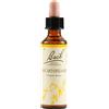 SCHWABE PHARMA ITALIA Schwabe Fiori Di Bach 17 Hornbeam Gocce 20ml