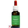 NATUR SRL RINASCI DEPRESSIONE NATUR MIX 30 ML