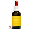 NATUR SRL LIBERATI OSSESSIONI NATUR MIX 30 ML