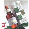 SANGALLI SRL ESCOLZIA TINTURA MADRE 100 ML
