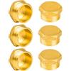 YEAUPE PRO Tappo per Tubo in Ottone,6 Pezzi G1/2"(Ø 20,3mm) Maschio Filettatura Tappo di Chiusura per Tubo,Tappi in Ottone,Raccordi Idraulici Esagonale per Lavatrice,Valvola del Radiatore, Rubinetti