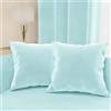 PETTI Artigiani Italiani - Cuscini Arredo in Velluto, Cuscino per Camera da Letto, Divano Salotto, Federa Cuscino, Celeste 2 Pezzi - 80x80 cm