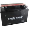 Green Star Greenstar 11541 Batteria AGM YTZ10S