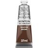 Winsor & Newton WN Olio Winton 37ml Bruno Van Dyck