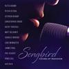 Songbird: Voices Of Romance (CD) Various Artists
