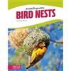 Stacy Tornio Bird Nests (Tascabile) Animal Engineers
